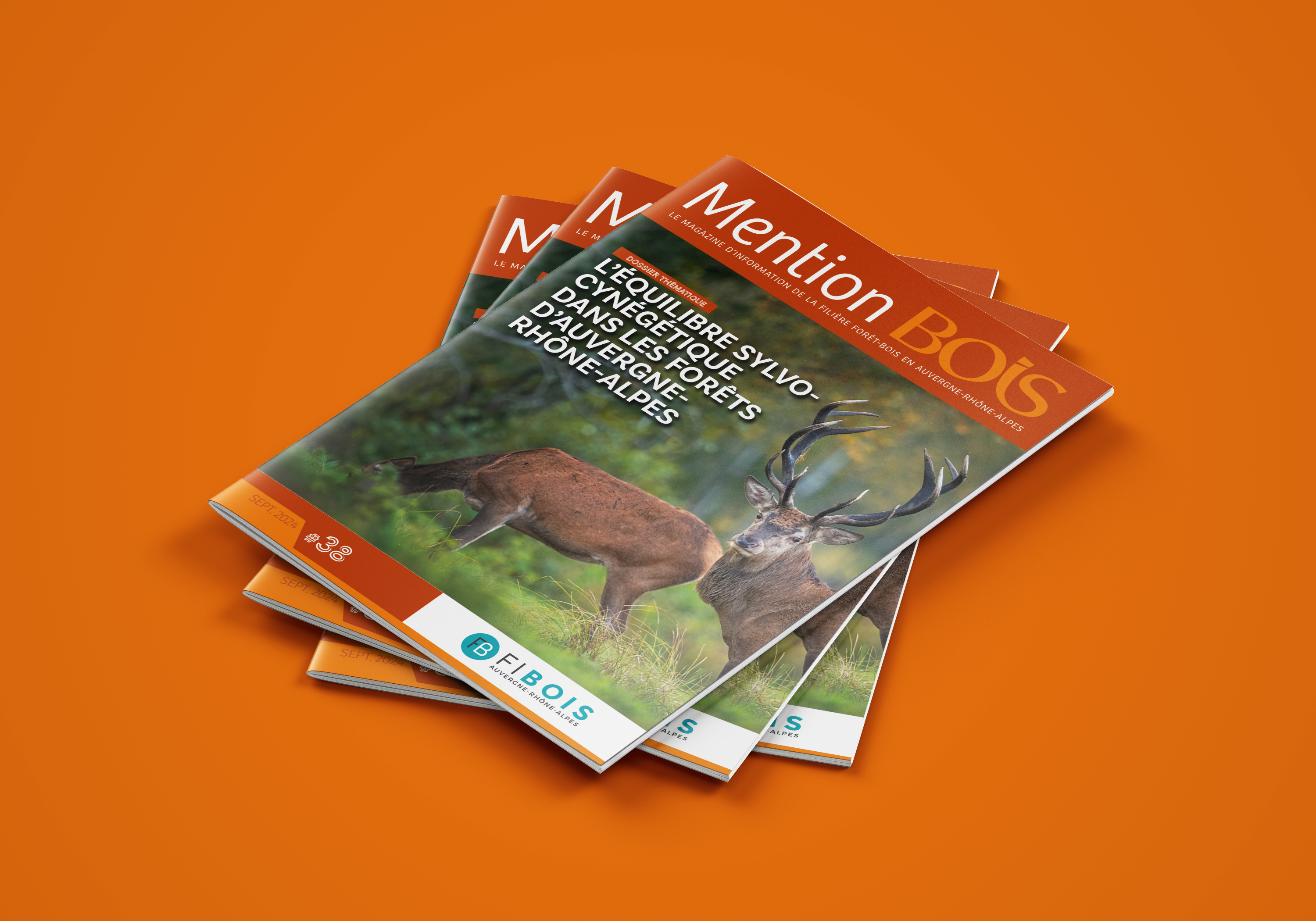 Magazine Mention Bois n° 38 avec un dossier sur l'équilibre de la faune dans les forêts